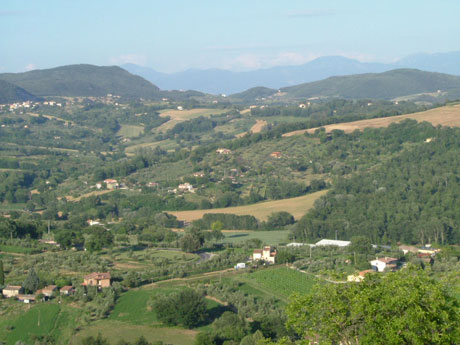 Colli Amerini